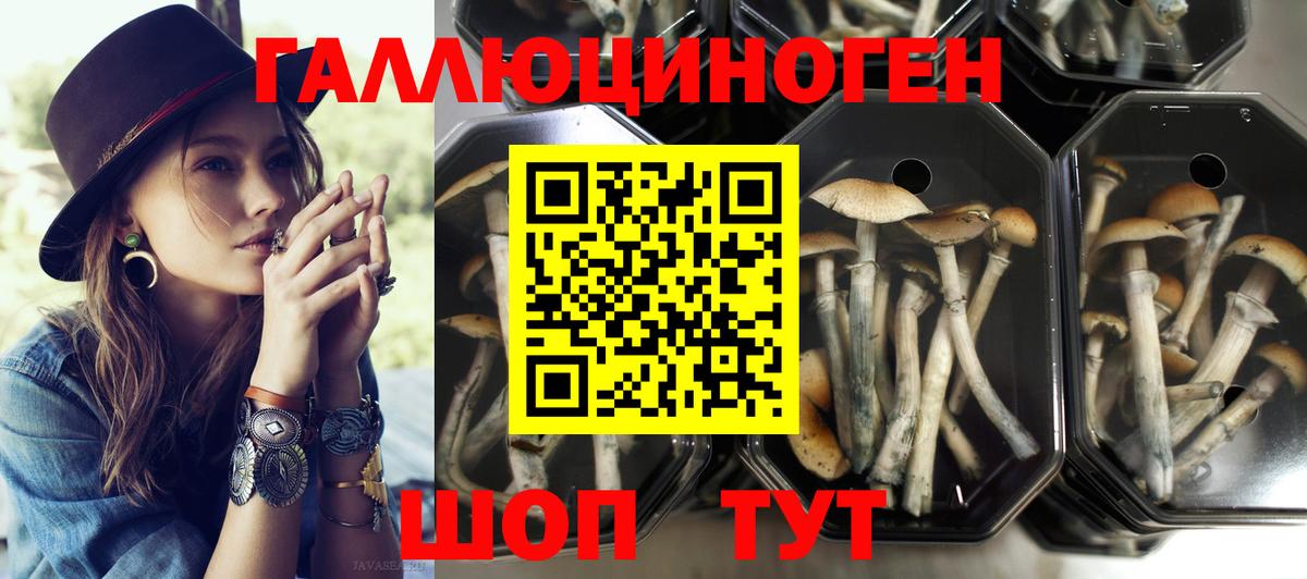 Галлюциногенные грибы мицелий Аксай