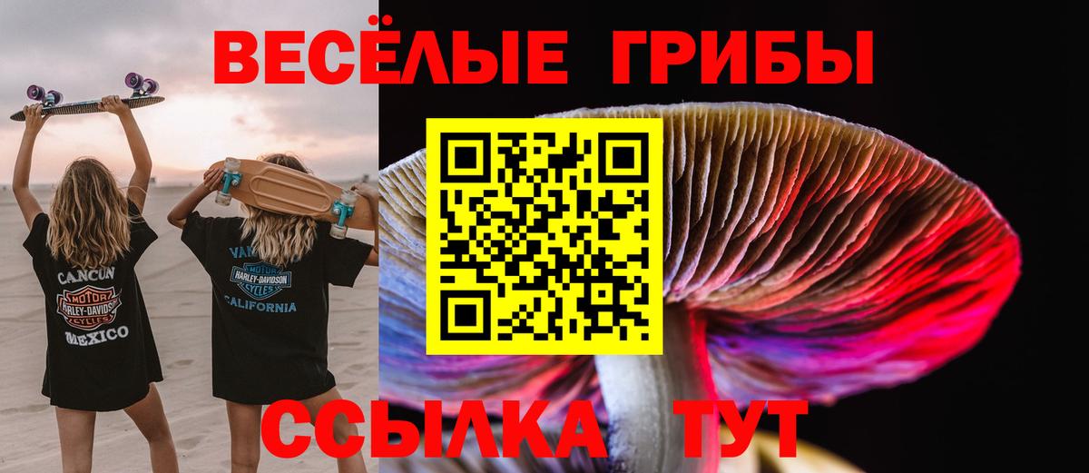Аксай  Псилоцибиновые грибы Cubensis  Вход с VPN  Псилоцибиновые грибы прущие грибы 